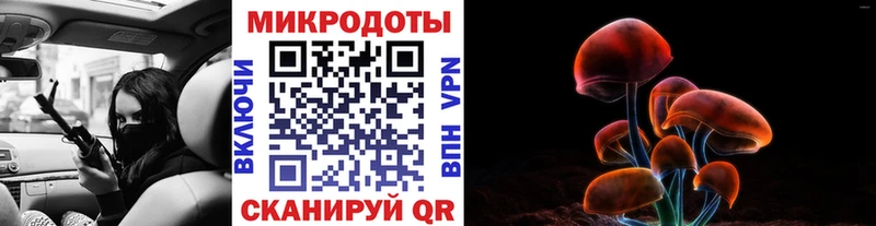 kraken ССЫЛКА  закладки  Бородино  Галлюциногенные грибы Cubensis 